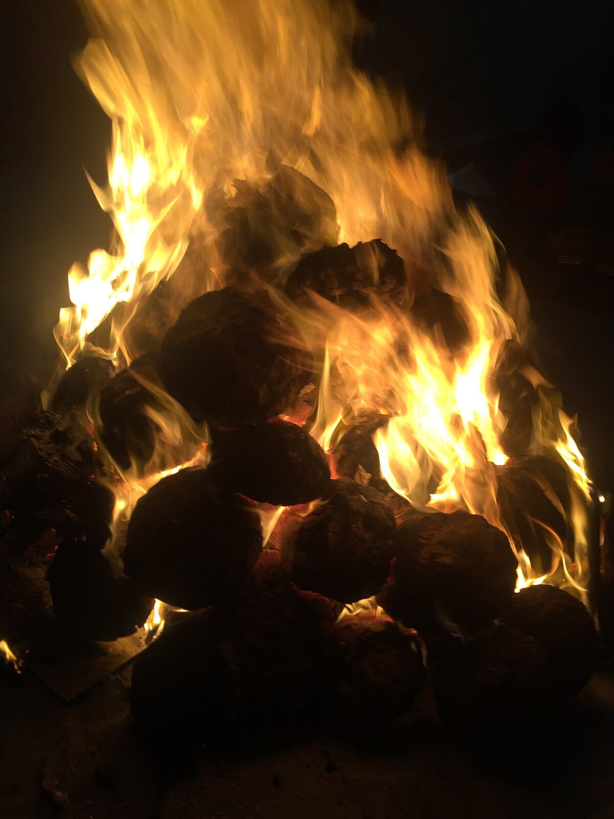 Lohri Bonfire