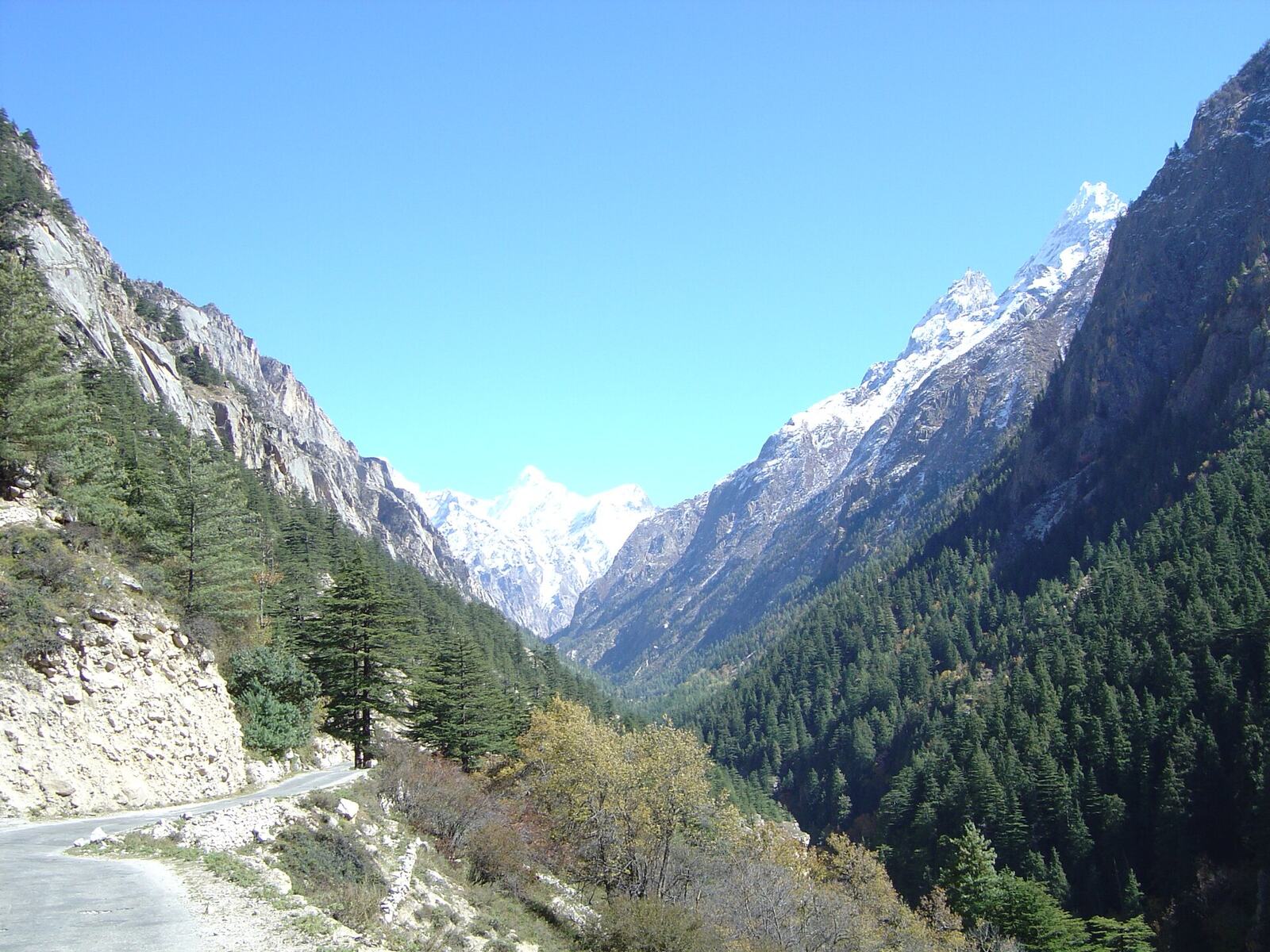 Gangotri