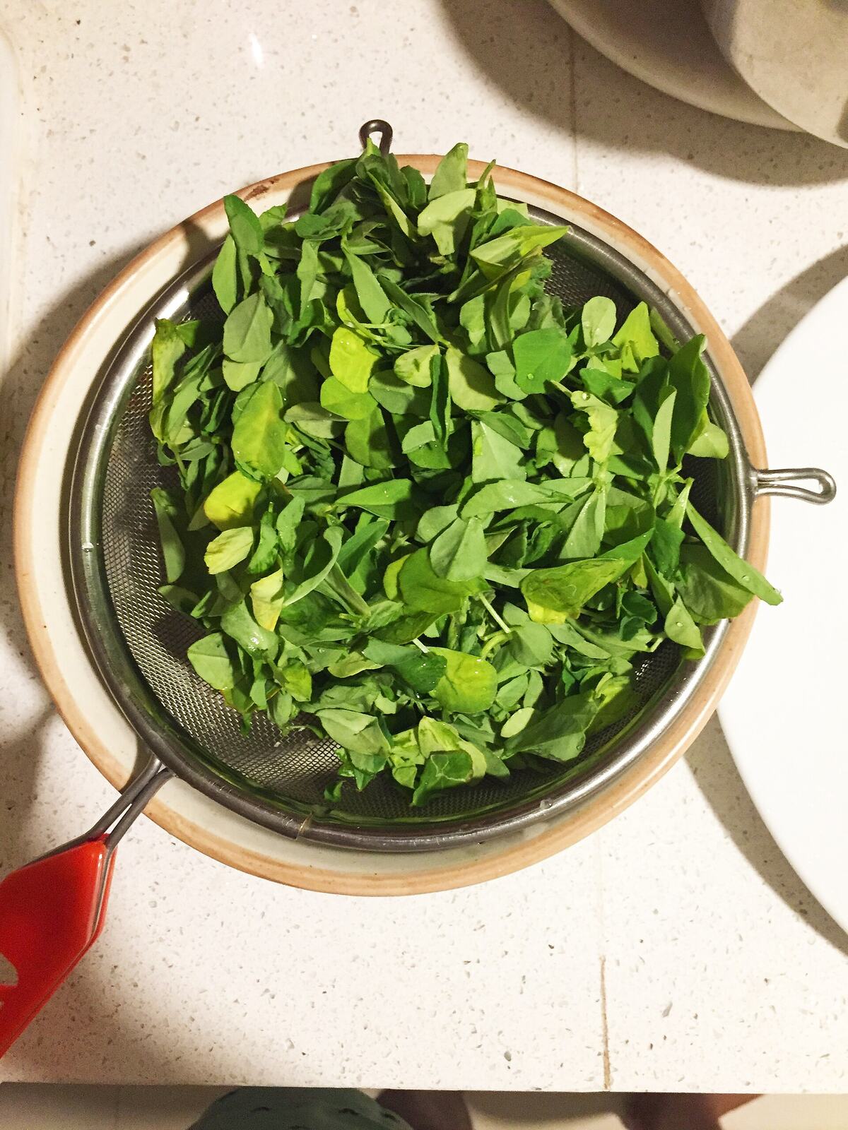 Washed fenugreek leaves for cooking methi-chadachadi