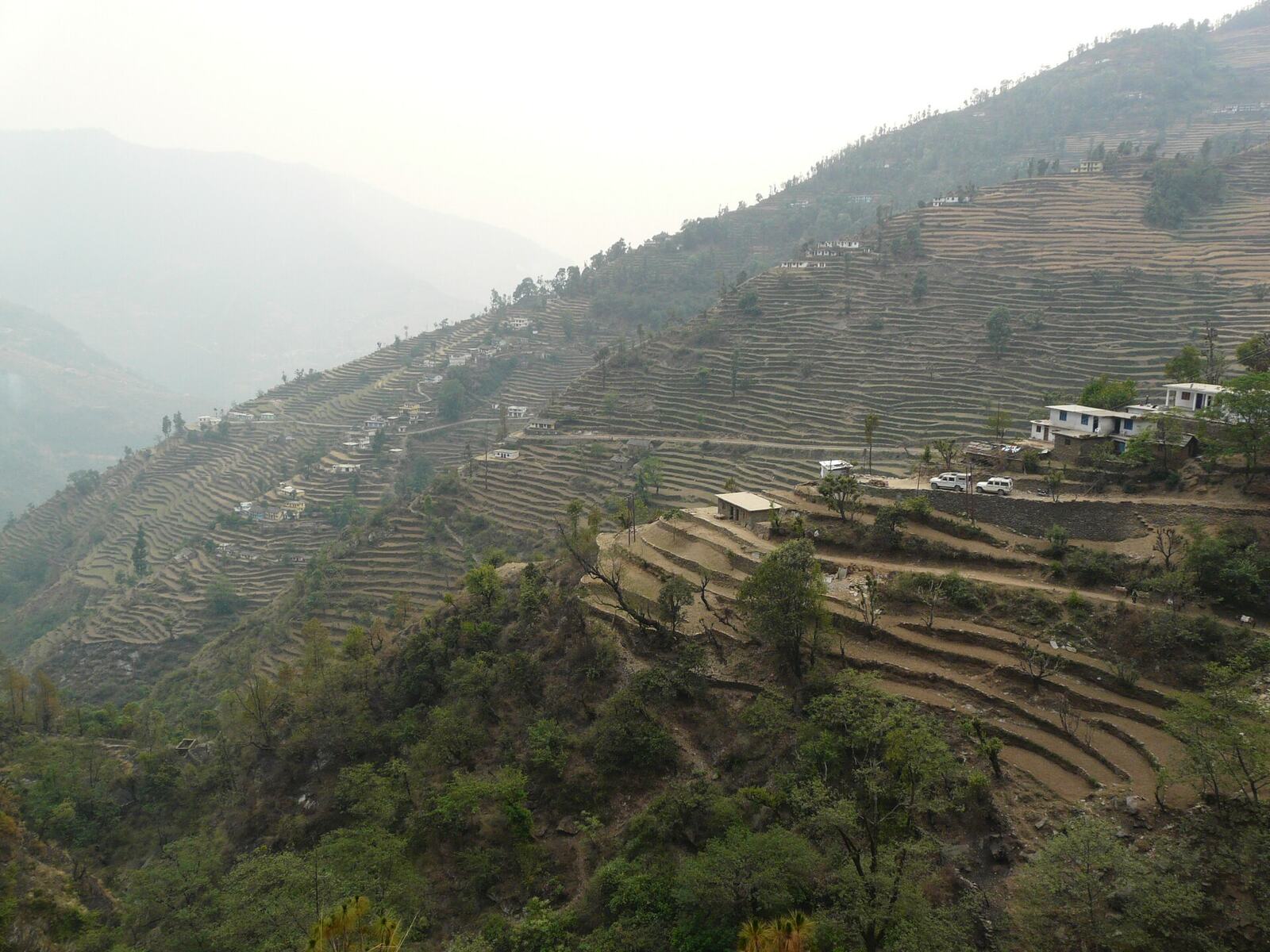 Terrace farming on the way to Ransi village, Garhwal, Uttarakhand